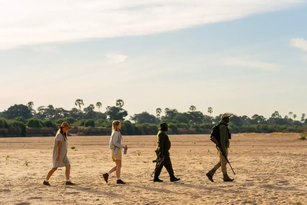Guests walking across an East African landscape