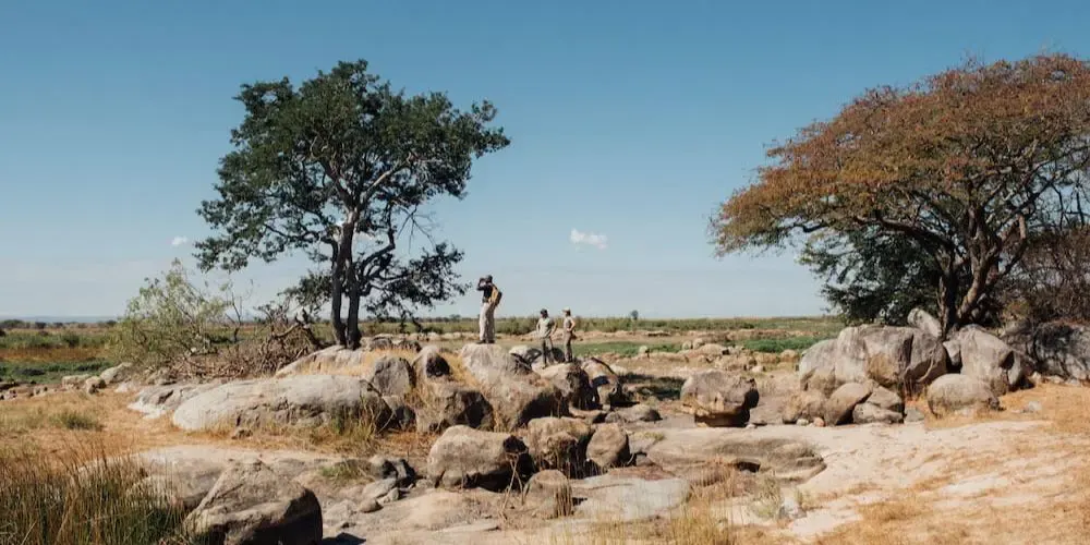 Walking safari wilderness