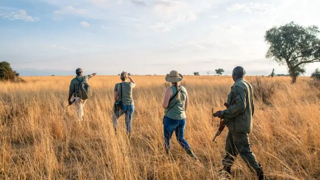 Guests on a guided walk