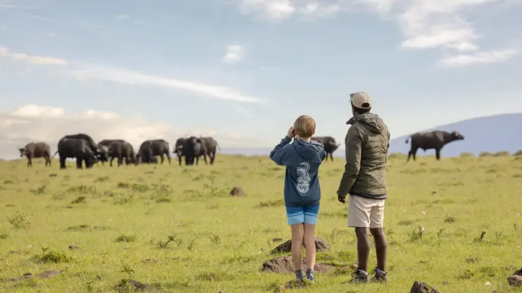 Wildebeest and walkers in the Mara