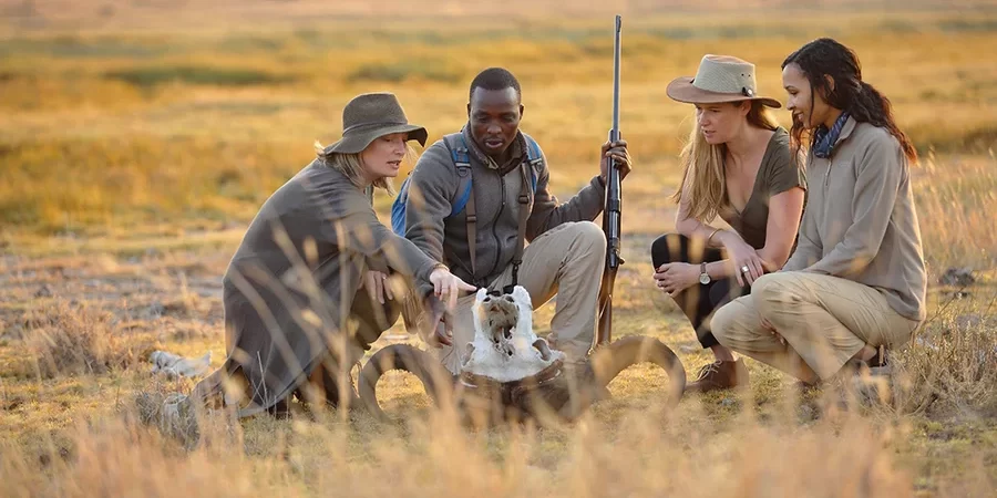Family Safari
