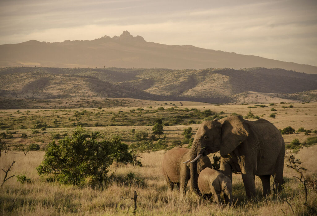 Laikipia