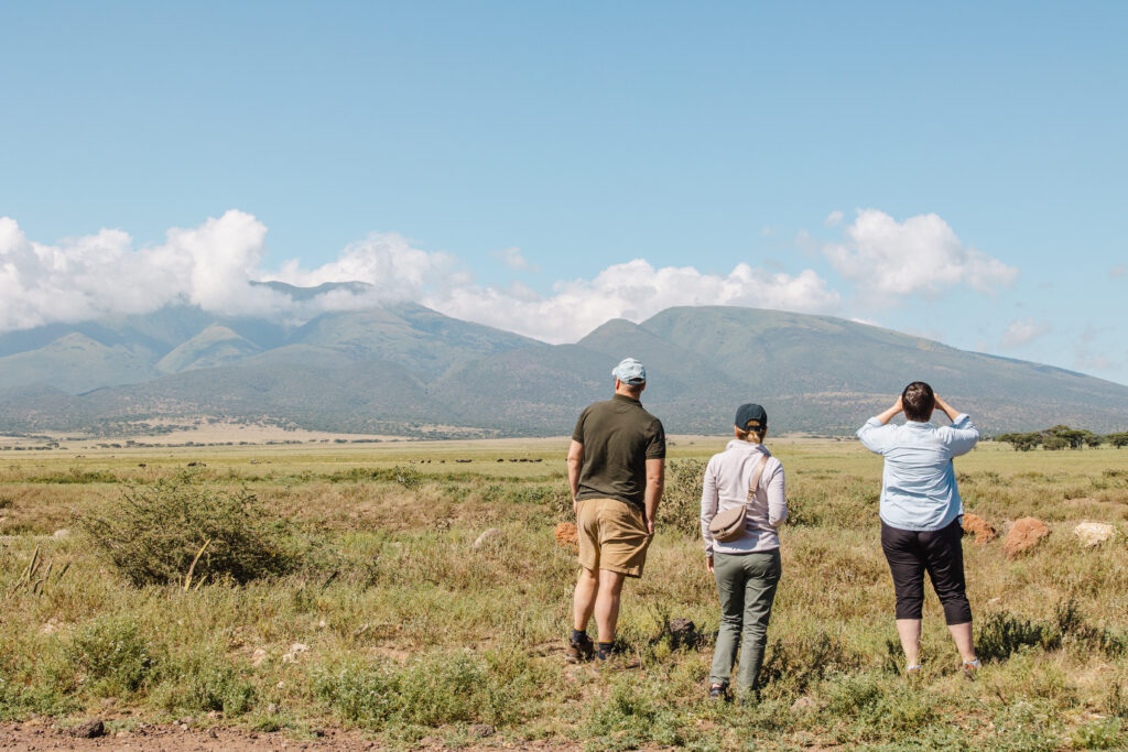 Walking Safari