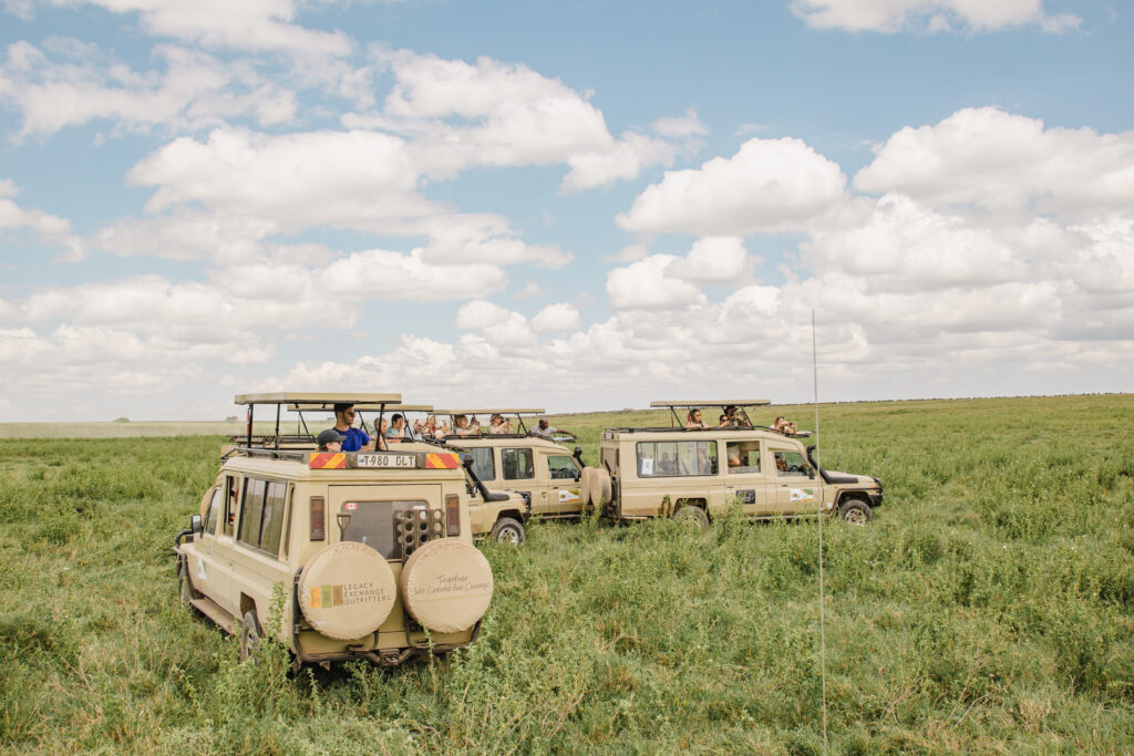 Classic Northern Tanzania Safari