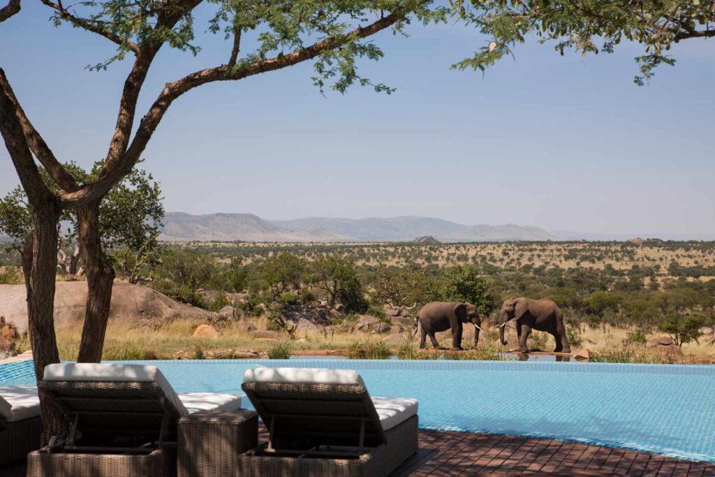 Kenya Luxury Fly-In Safari