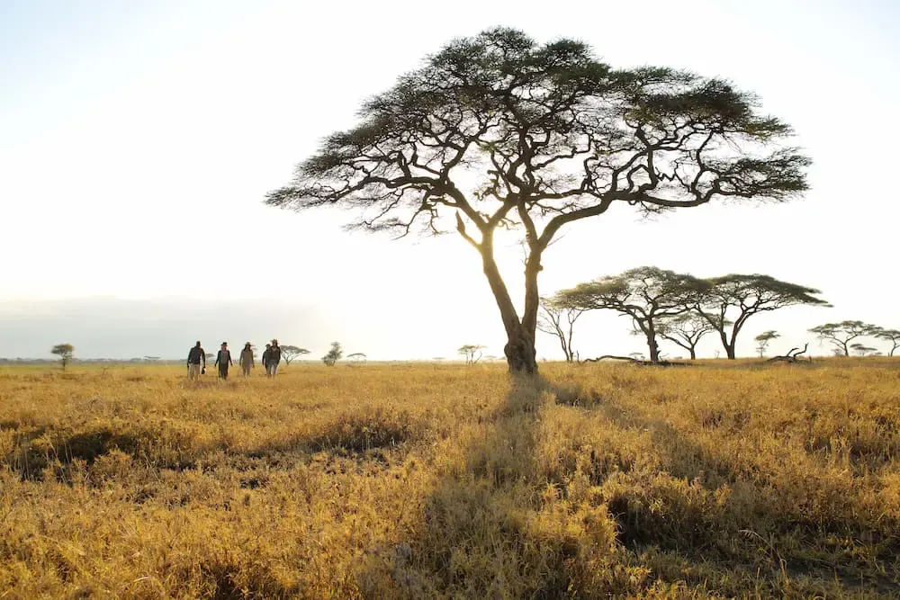 Rwanda Family Safari